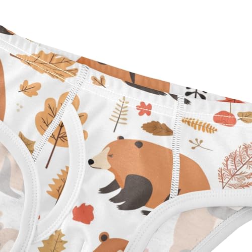 KLL Celebrate Holiday Canada Day Beavers Elements Little Boys Pure Cotton Underwear Briefs Cute Undies4
