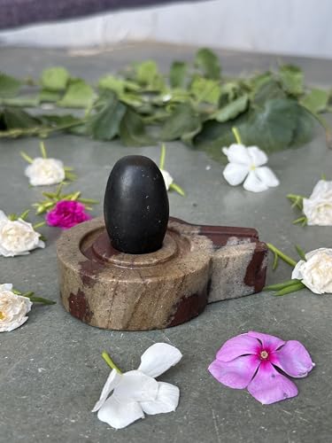Image of Shivam VASTU AKAL 1.5 inch Original Narmadeshwar Narmada Shivling with 3 inch Narmada Stone Yoni Base Jaladhari (Black Shivling, Multicolor Flate Jaladhari)