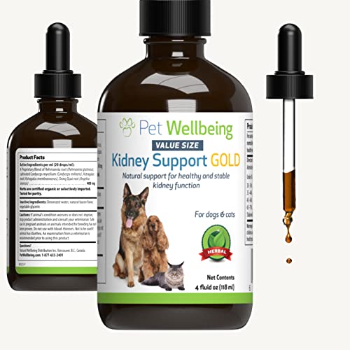 Find The Best Kidney Support For Dogs Reviews & Comparison Katynel