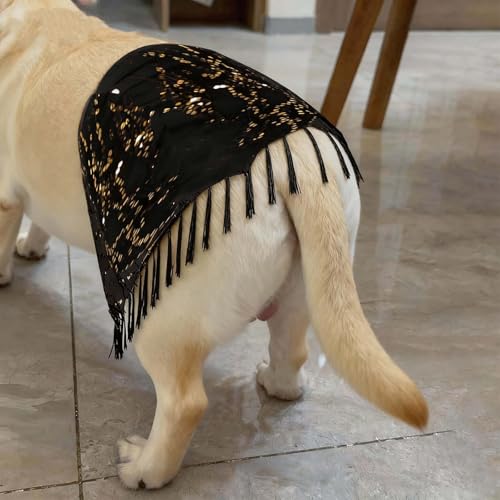 Disfraz de bailarina de vientre para perro mediano y grande miniatura 4