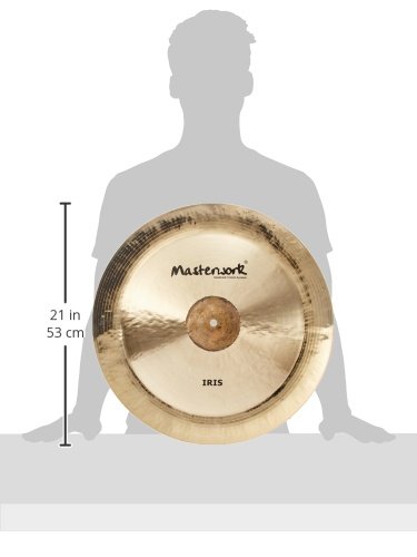 Masterwork Iris 20'' China - Image 4