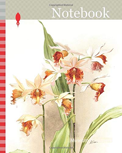 Notebook: Orchid, Phaius hybridus amabilis, phaius hybridus marthiae, Sander, F. (Frederick), 1847-1920, Mansell, Joseph, Lithographer, Moon, H. G