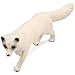 UANDME Fox Toy Figures Set Includes Arctic Fox & Red Foxes Figurines Cake Toppers (5 Foxes)