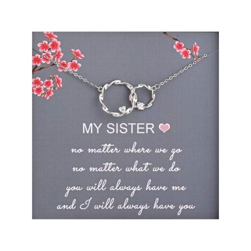 AnalysisyLove Sister Gifts from Sister - Sterling Silver Two Interlocking Infinity Double Circles Necklace for Sisters Birthday Jewelry Friendship Gifts