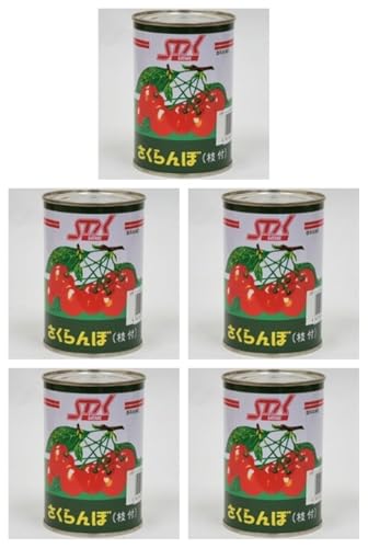 ڎ}t(L) 4×5 퉷(܂Ƃߔ) (VandroStEINDEXBOX)