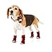 Reddy Burgundy Seamless Boot Sock for Dogs, Small/Medium