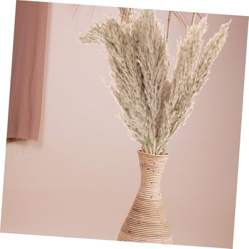 15pcs Ramo de Flores Secas de Caña en Caja miniatura 5