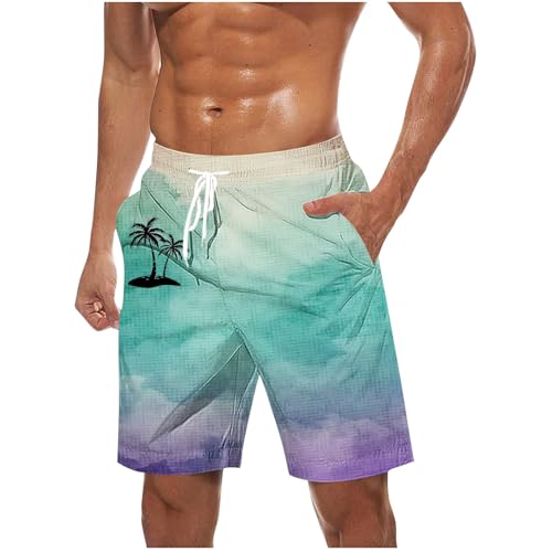 Mens Swim Trunks Summer Trendy Gradient Coconut Tree Print Swimming Trunks Casual Hawaiian Beach Shorts with Pockets