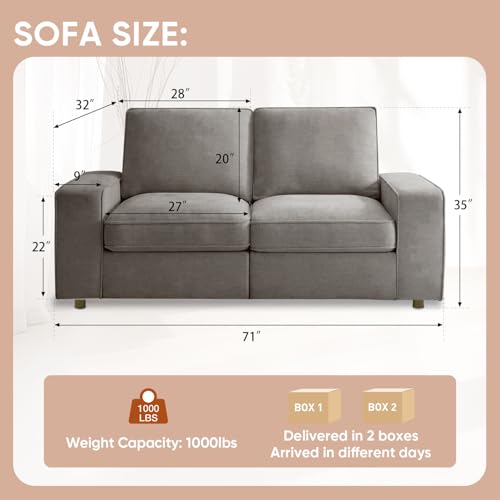 Image of Waxberry 71 inch Chenille Loveseat Sofa Couch for Living Room with Seat Storage, Modern 2-Seater Deep Seat Sofa with Side Pockets & Type-C /USB Ports, Detachable Backrest for Office, Apartment (Grey)