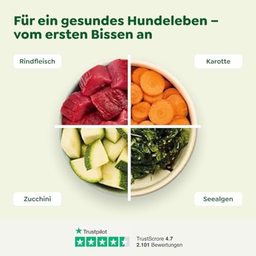 WOW Dog Hunde-Nassfutter mit Rind | Enthält Vitamine und Mineralien, ohne Getreide und Zucker | 400 g / 12er Pack