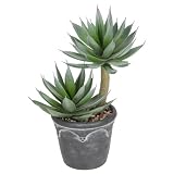 Arborus Planta Artificial en Maceta 33 cm Plantas suculentas Artificiales como auténticas Plantas de Interior para casa Oficina decoración de baño balcón decoración Tienda decoración de