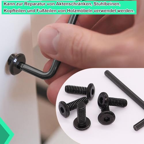 20 Stück M6 x 16 Schrauben, Flachkopfschrauben und Einschraubmutter Sortiment Kit, Gewindeeinsatz Holz, Einschraubgewinde Muttern für Holzmöbel