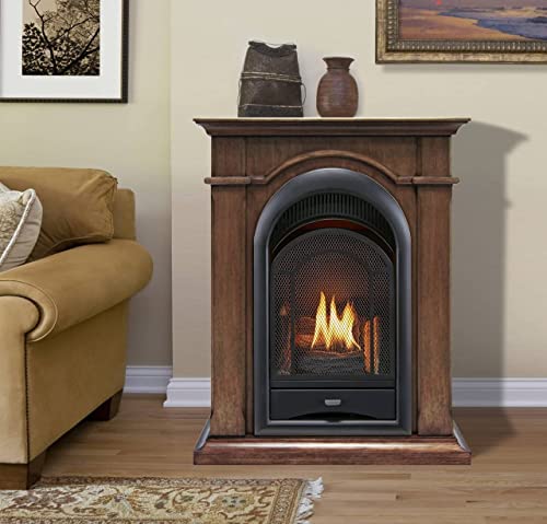 Procom Dual Fuel Ventless Gas Fireplace System - 10,000 Btu, T-Stat Control, Toasted Almond Finish - Model# Fs100T-Ta #TOP1