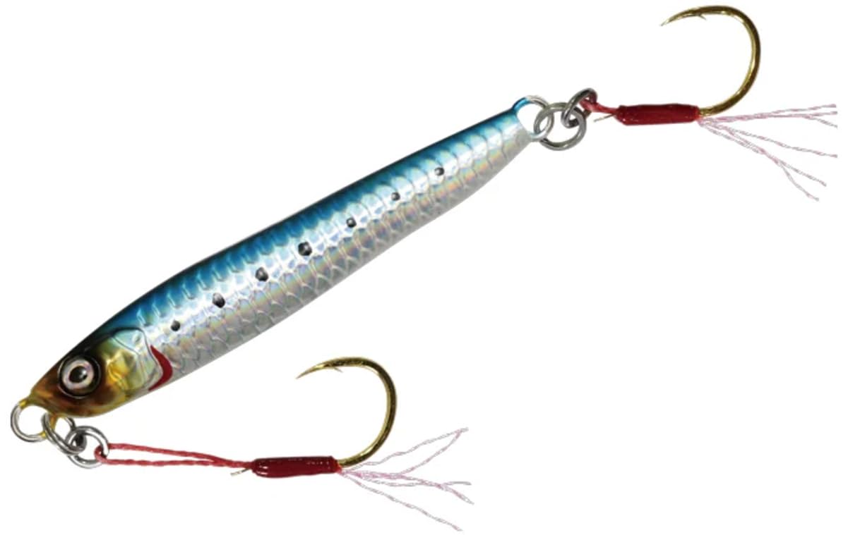 Amazon.co.jp: マグバイト(Magbite) イワシジグ 30g : スポーツ