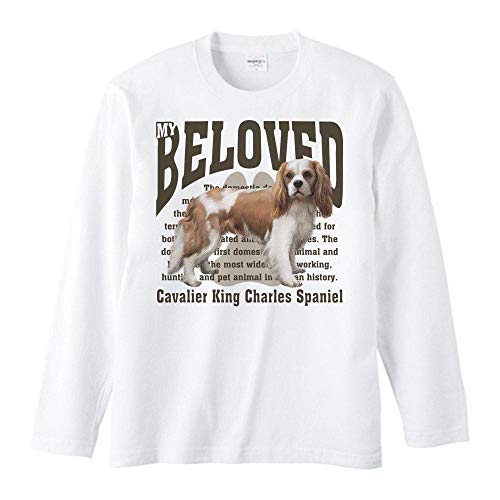 GCfBGX(MYDS) LoA LO `[Y XpjG/TVc//ݽXL