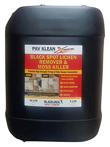 Blackjack Surface Technology LtdPav Klean Xtreme Black Spot Lichen Remover Paving Cleaner 20 Litres Fast Acting Less Than 1 Hour