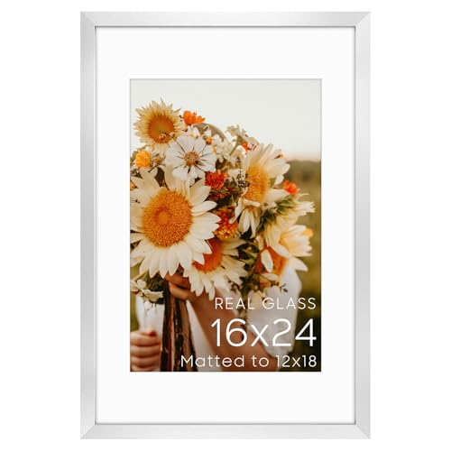 Golden State Art 16x24 Silver Picture Frame Mat for 12x18 Real Glass