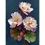 Flower5