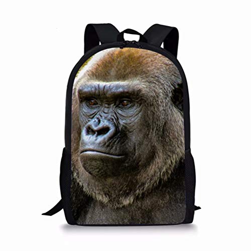 Beauty Collector Gorilla Backpack Book bag Set for Kids Elementary School