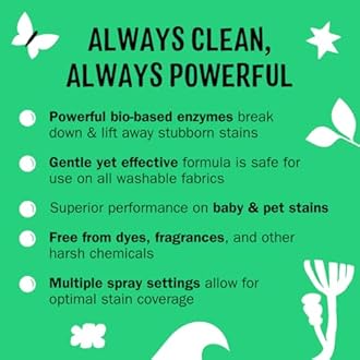 Molly's Suds Stain Remover Spray | Gentle Yet Powerful, Great for Baby & Pet Stains | Clean, Simple Ingredients (Fragrance Free) (16 Fl Oz (Pack of 2))