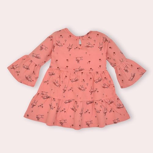 Image of LuvLap Baby Girls 100% Cotton Full Sleeve Girl Frock, Pack of 02