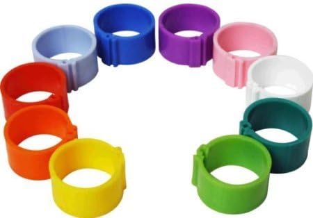 100 Poultry Leg Rings, 8mm Clip, to fit chicks, pigeons, tiny bantams (White)
