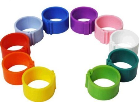 100 Poultry Leg Rings, 12mm Clip