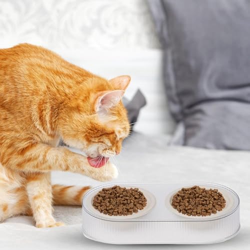 Cat Food And Water Bowl Set, Dog Food And Water Bowl Dishes Set, Cat Feeding Bowls, Double Cat Bowl, 2-en-1 Pet Food And Water Feeder For Kittens, Puppies, Water and Food Feeder For Puppies – Image 4