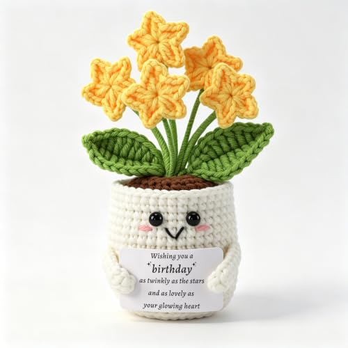 HOME SMILE Crochet Star Flower Pot,Happy Birthday Gifts for Women Man,Mom,Sister,Friend,Cute Desk Decor Gift Idea