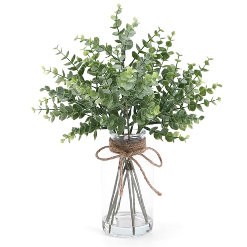 Coferset Eucalyptus Stems in Glass Vase with Faux Water, 13.7