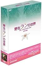 野生ランの世界 DVD-BOX〈2枚組〉 Amazon.co.jp: 野生ランの世界 DVD-BOX : 趣味: DVD