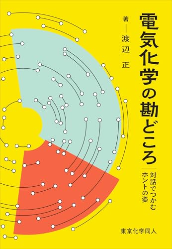 電気化学の勘どころ: 対話でつかむホントの姿