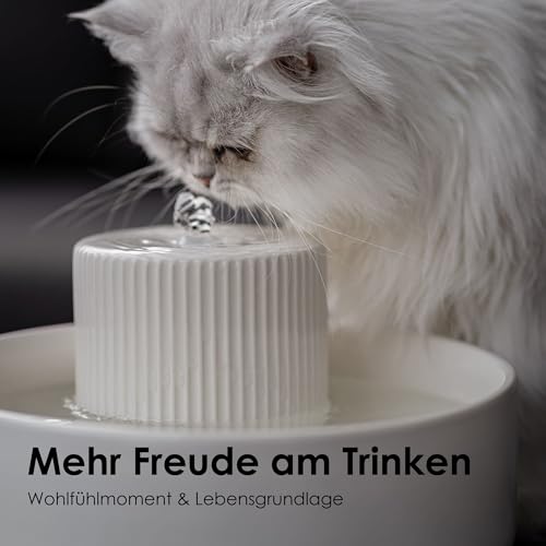 Katzenbrunnen aus Keramik von Lucybalu Trevi für Katzen