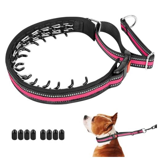 Mayerzon Martingale Collar for Dogs, No Pull Dog Collar with Reflective Strip for Small Medium Large Dogs, Anti Pulling Dog Collar with Buckle for Walking Training, Safe for Night Walk(Pink, M)
