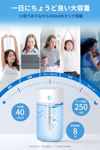 GUNNIE 卓上小型加湿器 Type-C給電式 250ml