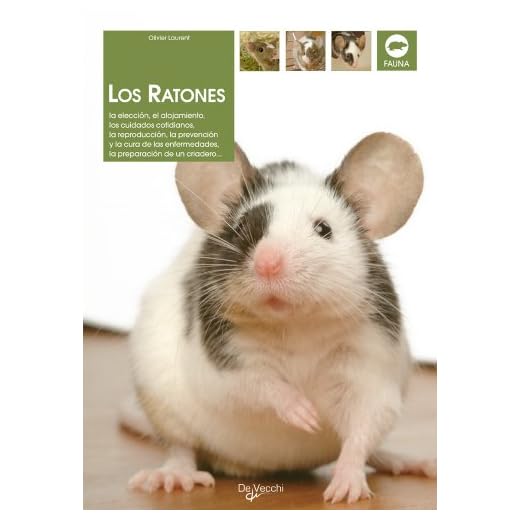 Los ratones (Animales)