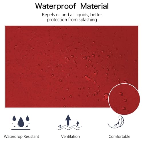 Homsolver 2 Pack Waterproof Rubber Vinyl Apron for Women, Lightweight Chemical Resistant Industrial Work Apron, Adjustable Plastic Aprons for Dishwashing Butcher Dog Grooming Lab Work Fish Cleaning