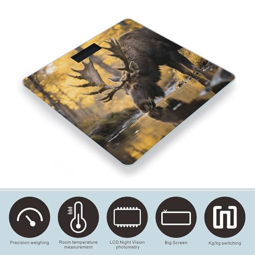 Báscula digital de baño vidrio templado con pantalla LCD miniatura 3