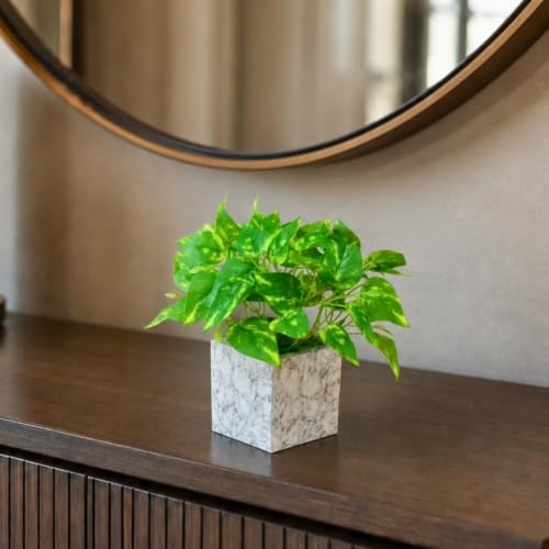 Image of fancymart Artificial Plant with Real-Touch Leaves in Pot, 25 cm, Indoor Tabletop Item for Home Decor, Office, Living Room