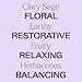 Plant Therapy Clary Sage Essential Oil 100% Pure, Undiluted, Natural Aromatherapy, Therapeutic Grade 10 mL (1/3 oz)