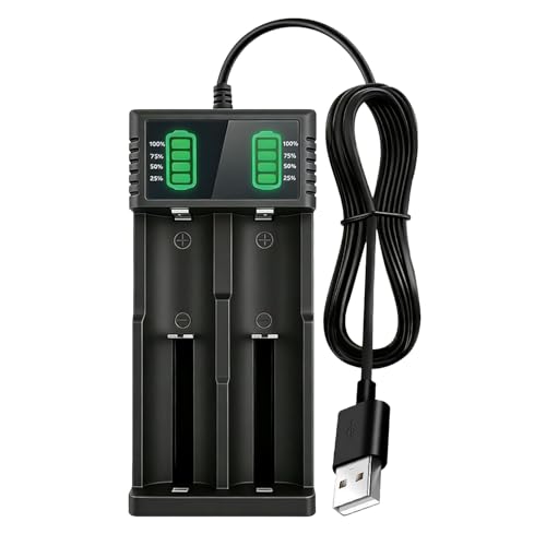 Image of Dual Slots Charger with LCD Display for 3.7V Li-ion Rechargeable Battery
