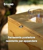 FAUNO B0FVZHZR5X lato 4