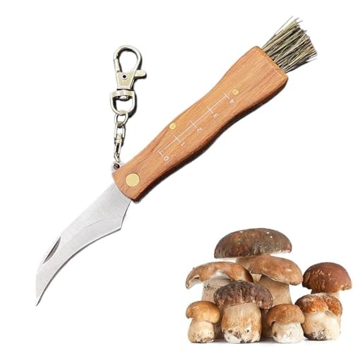 BAOSROY Coltello per Funghi,Coltello a Funghi con Spazzola,Coltellino per Raccogliere,Coltellos Funghi In Acciaio Inox,Coltellos Micologica Manico in Legno