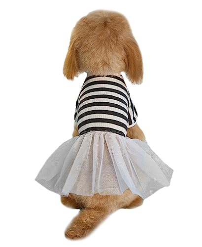 犬服 スカート ドレス 可愛い ボーダー柄 ペット服 ワンピース 春夏秋 お姫様 ペット服 犬猫用 洋服 ファッション 人気 小中型犬 ストライプボウチュールスカート 小型犬 中型犬 ワンちゃん 猫服 仮装 髪ゴム付き(ブラック S)