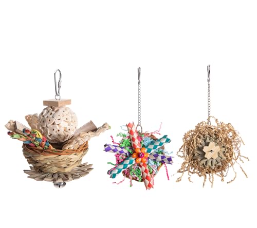 IEEbhubN𚐃P[WވSȖؐr[Y𚐃P[WIE𚐂