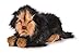 HANSA Toys Waldi Long Haired Dachshund Puppy 13" L Black