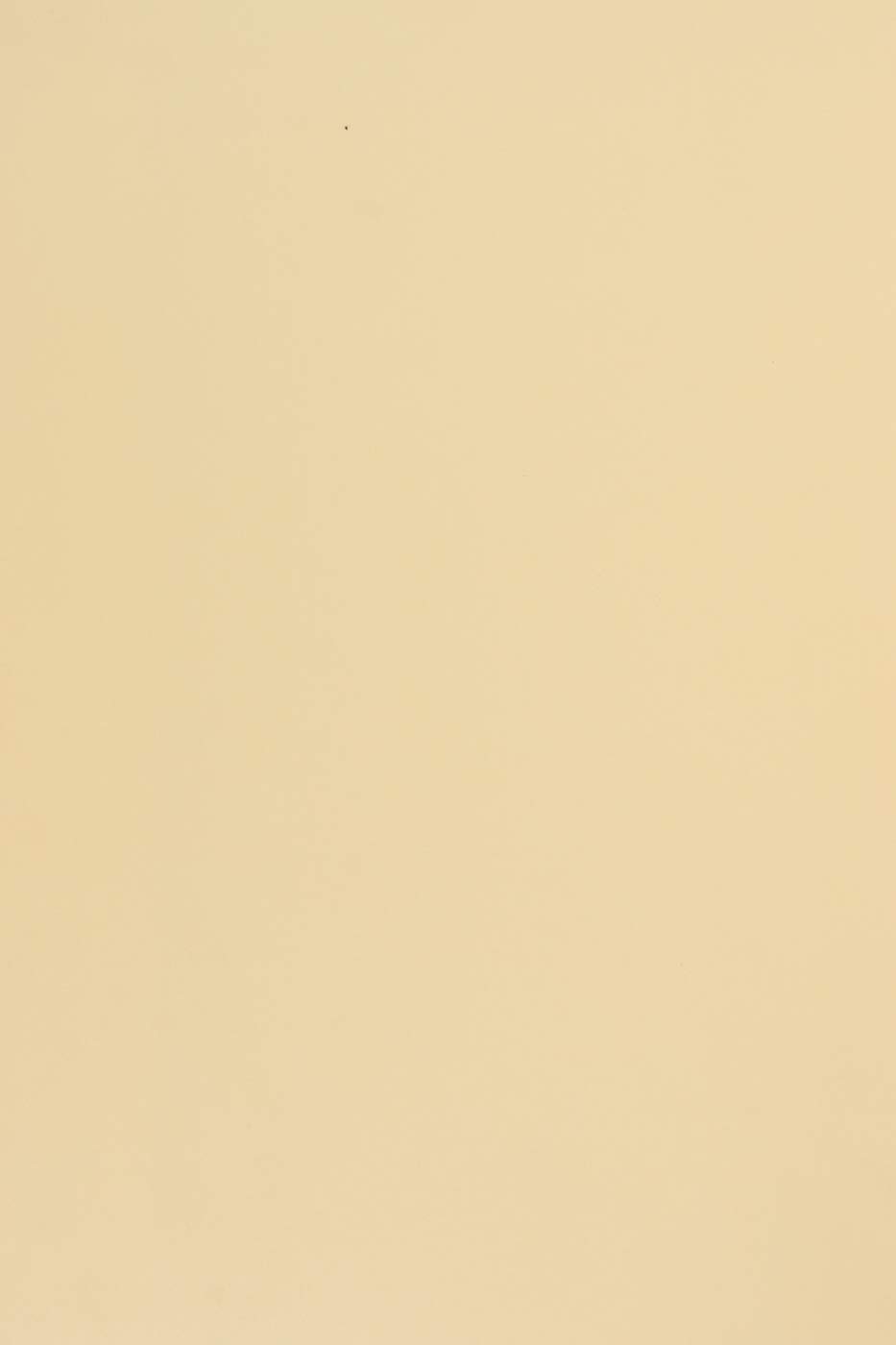 Netuno 100x Vanilla Coloured Paper A4 210 x 297 mm 8.3 x 11.7 in 170gsm Sirio Color Paglierino Colourful Printable Card Craft Paper for DIY Projects cardmaking Invitations Greeting Cards Weddings โ image 1