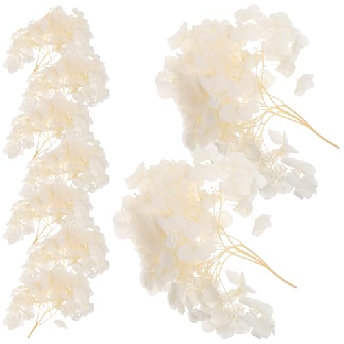 Pétalos de flor de hortensia preservados para decoración de boda