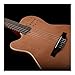 Godin Guitars Multiac Nylon Encore Left-Handed