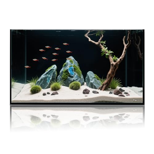 10 Gallon Glass Fish Tank, Aquarium Fish Bowl Cube for Betta Goldfish Snails Shrimp Aquatic Planting, Easy to Maintain Ultra Clear Rimless Dark Background Low Iron